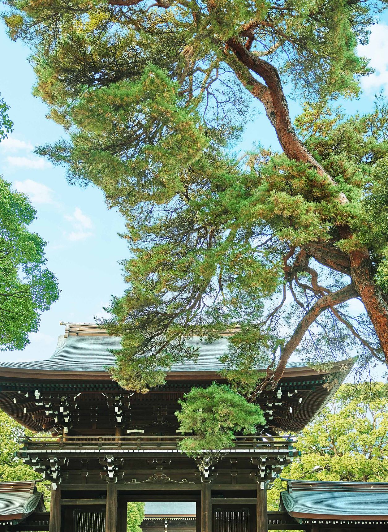広大な自然に囲まれて、“参進”から始まる美しい日本の結婚式